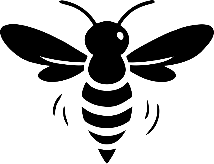 NOISE